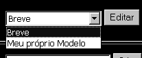 Imagem da página de Edição de Modelos de Informe-Editar